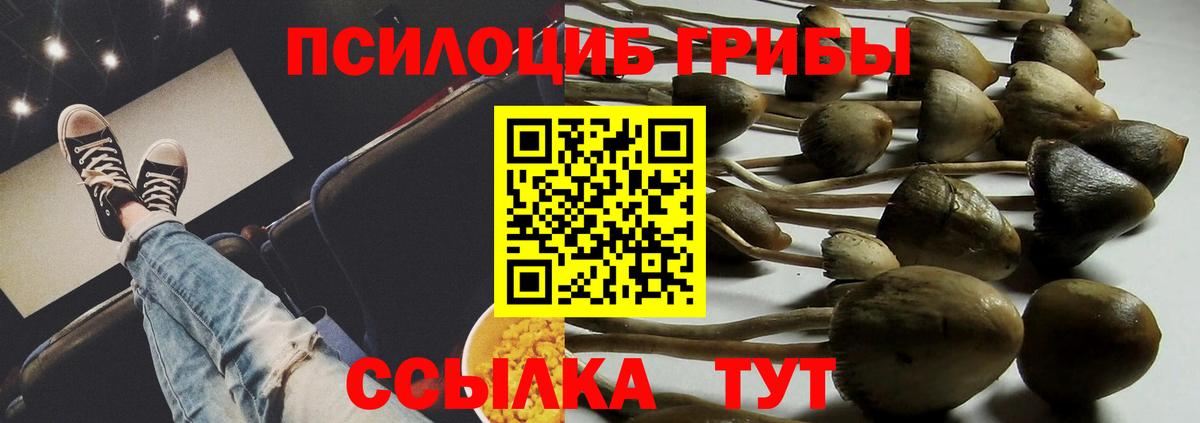 Псилоцибиновые грибы Psilocybe  Псилоцибиновые грибы Cubensis  хочу наркоту  Вход с VPN  Чита 